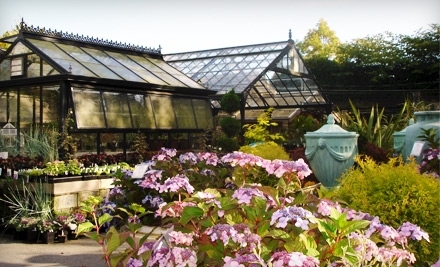 Southlands Nursery